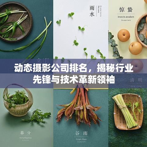 动态摄影公司排名，揭秘行业先锋与技术革新领袖
