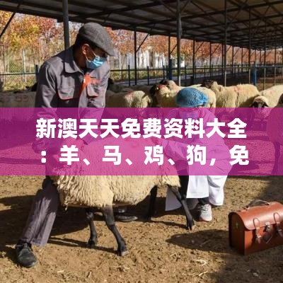 产品中心 第5页