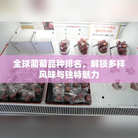 全球葡萄品种排名，解锁多样风味与独特魅力