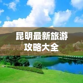 一花独放 第4页