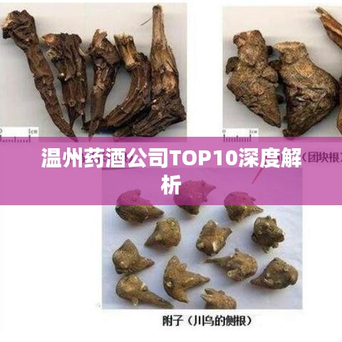 温州药酒公司TOP10深度解析