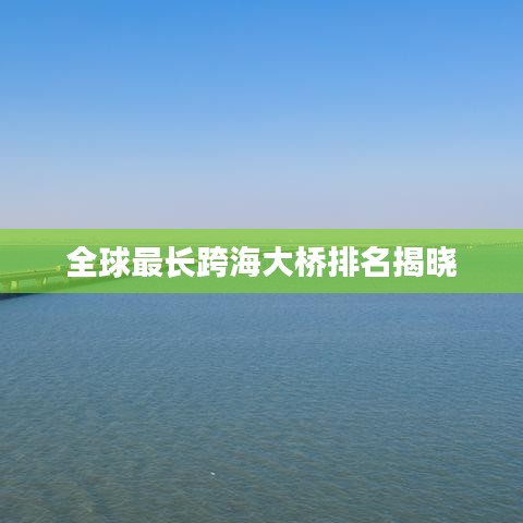 林下风范 第4页
