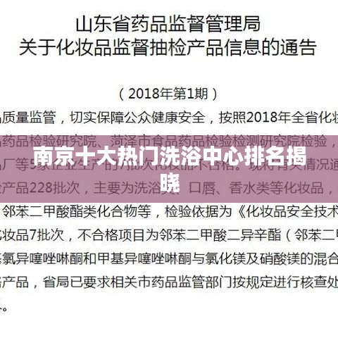 雍容华贵 第4页