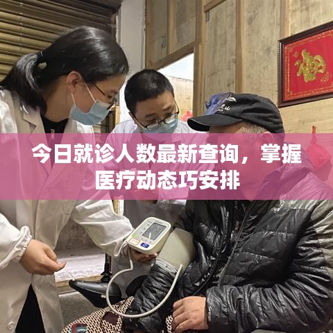 今日就诊人数最新查询，掌握医疗动态巧安排