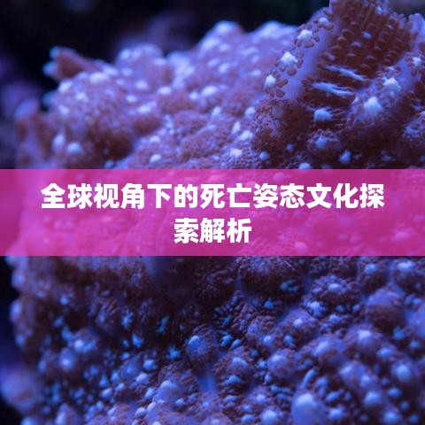 知错就改 第3页
