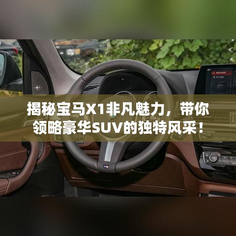 揭秘宝马X1非凡魅力，带你领略豪华SUV的独特风采！