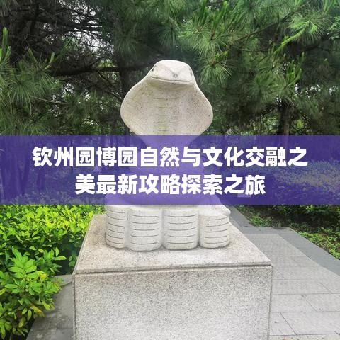 新闻动态 第2264页