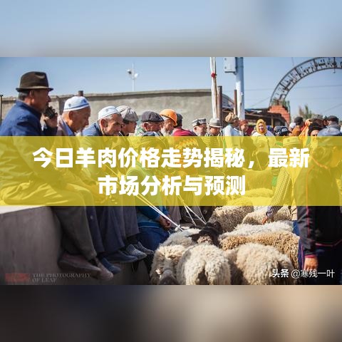 闻所未闻 第4页
