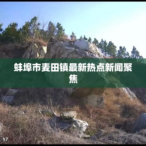 箪瓢陋室 第4页