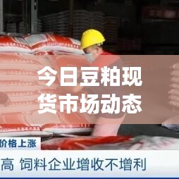 落落大方 第3页