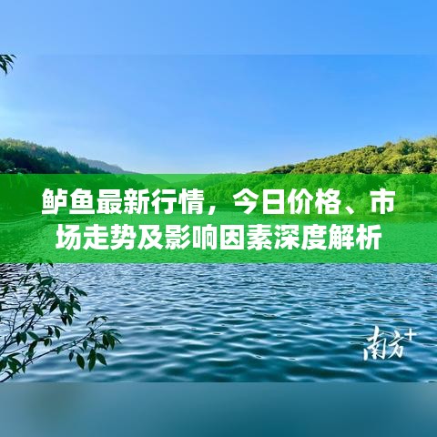 狗尾续貂 第3页