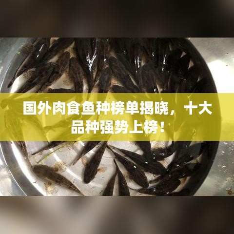 第1626页
