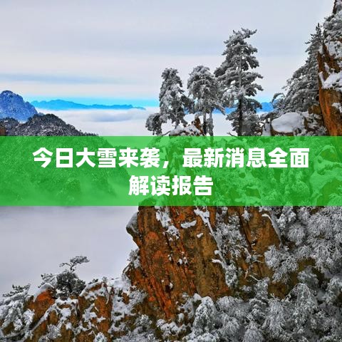 第1617页