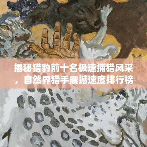 揭秘猎豹前十名极速捕猎风采，自然界猎手震撼速度排行榜！