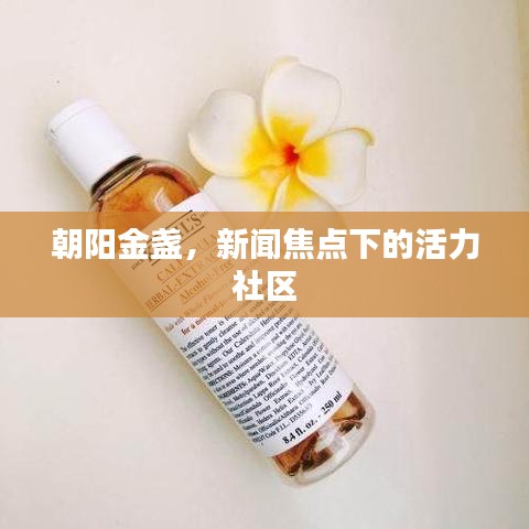 朝阳金盏，新闻焦点下的活力社区