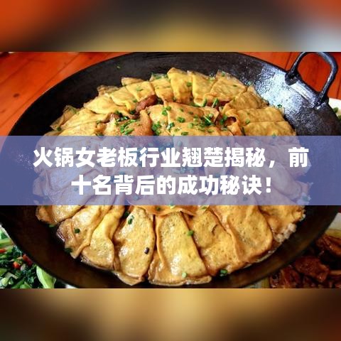 寥若晨星 第4页