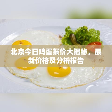 北京今日鸡蛋报价大揭秘，最新价格及分析报告