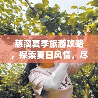 第1545页