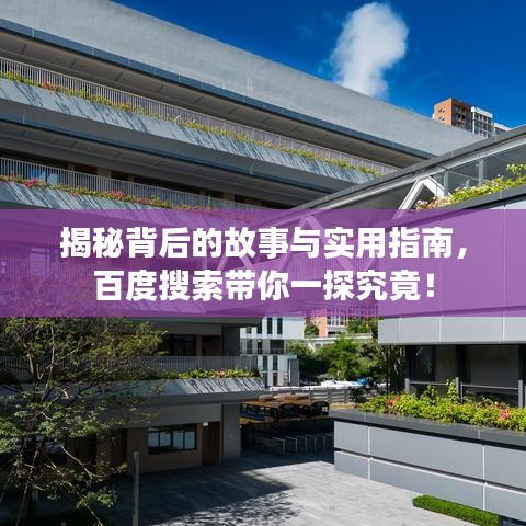 揭秘背后的故事与实用指南，百度搜索带你一探究竟！