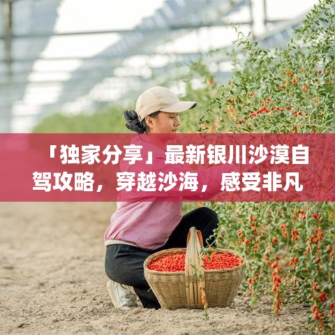 第1540页