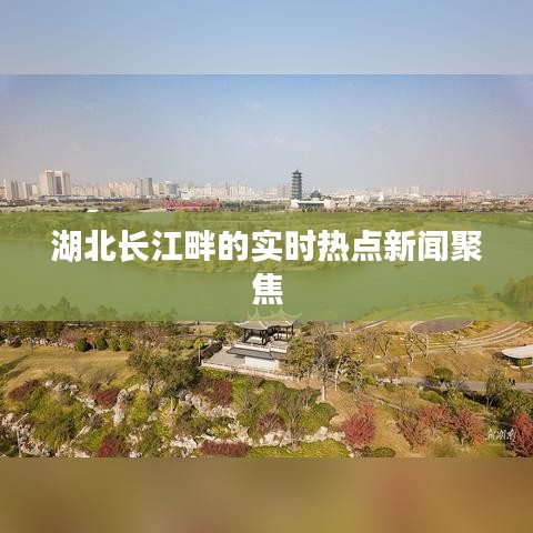 湖北长江畔的实时热点新闻聚焦