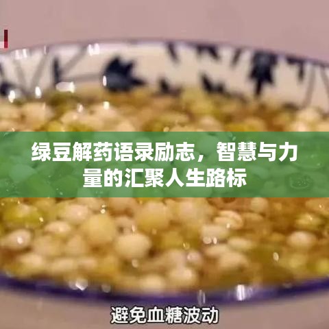 绿豆解药语录励志，智慧与力量的汇聚人生路标