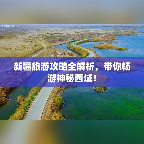 第1493页