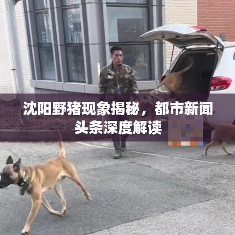 第1489页