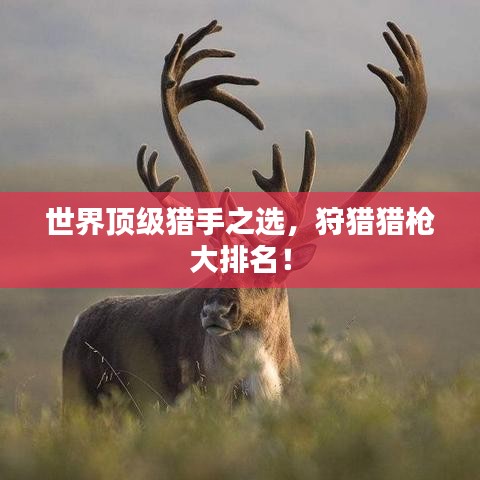 世界顶级猎手之选，狩猎猎枪大排名！