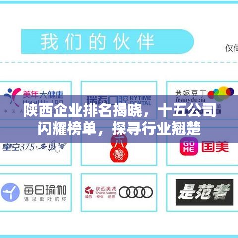 陕西企业排名揭晓，十五公司闪耀榜单，探寻行业翘楚