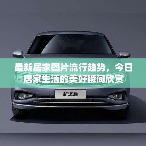 穷鸟入怀 第3页