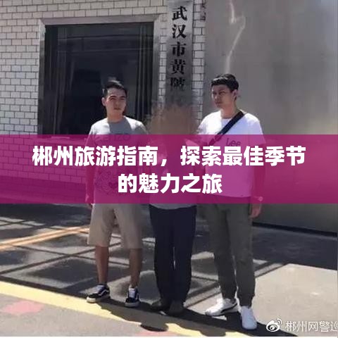 郴州旅游指南，探索最佳季节的魅力之旅