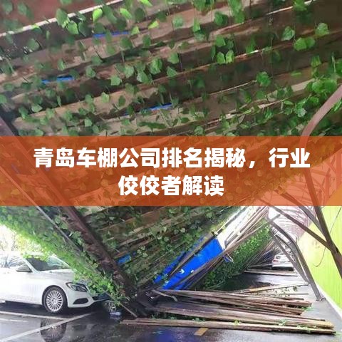 青岛车棚公司排名揭秘，行业佼佼者解读