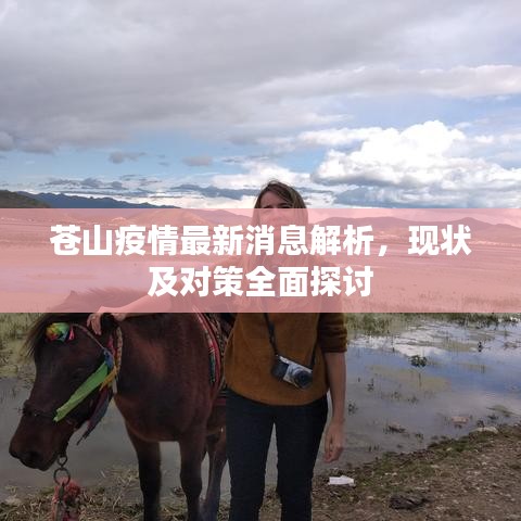 苍山疫情最新消息解析，现状及对策全面探讨