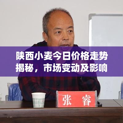 陕西小麦今日价格走势揭秘，市场变动及影响因素深度解析