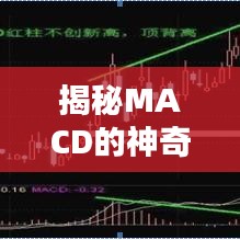 揭秘MACD的神奇之处，百度带你探索其妙用！