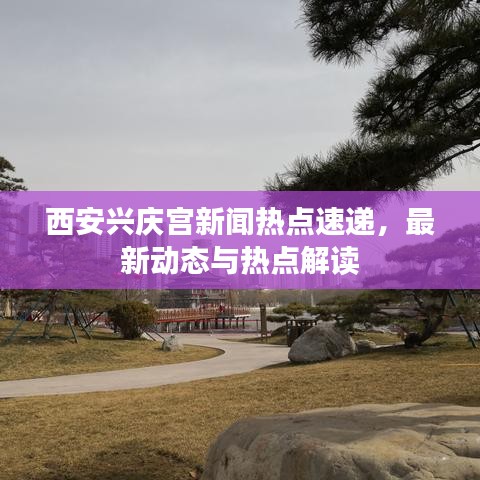 西安兴庆宫新闻热点速递，最新动态与热点解读