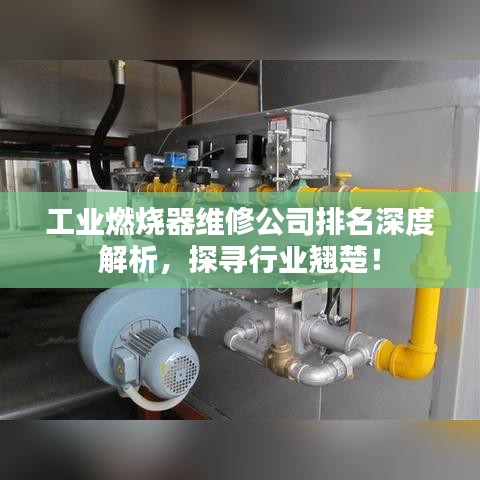 第1365页