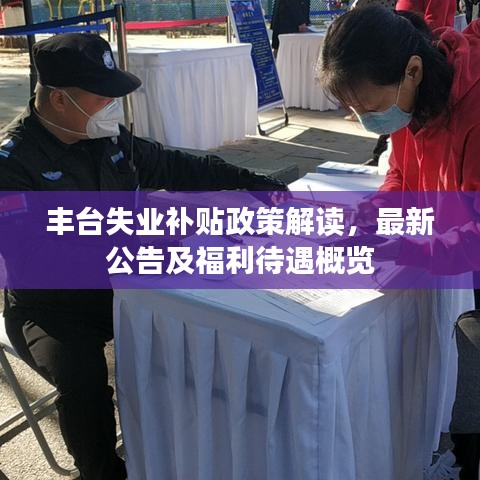 丰台失业补贴政策解读，最新公告及福利待遇概览