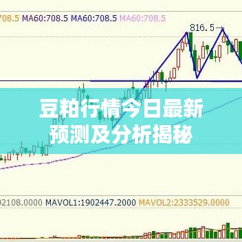豆粕行情今日最新预测及分析揭秘