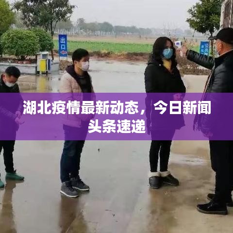 屈高就下 第3页