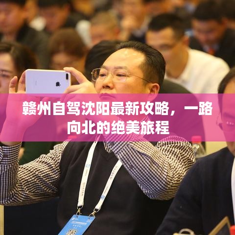 金石为开 第3页