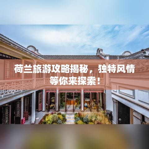 料事如神 第2页