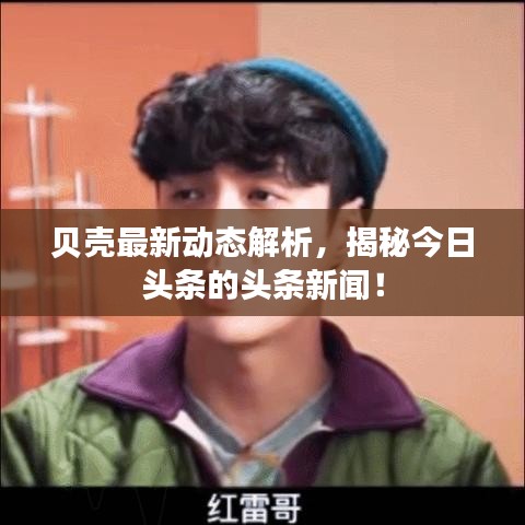 贝壳最新动态解析，揭秘今日头条的头条新闻！