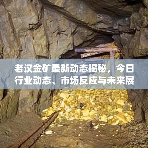 郑重其事 第3页