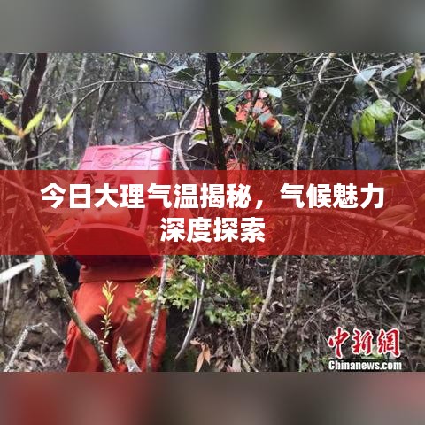 只争朝夕 第3页
