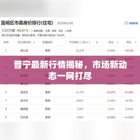 标新竖异 第3页