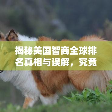 2025年4月 第349页