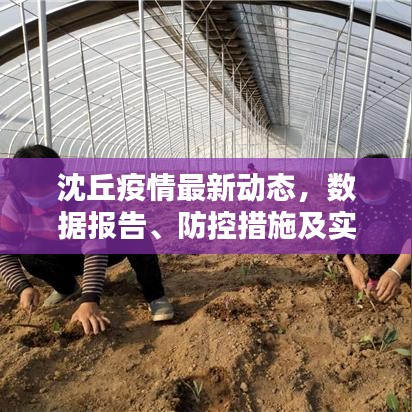 橘虞初梦 第3页