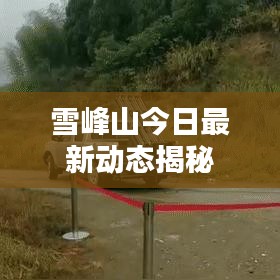七嘴八张 第3页